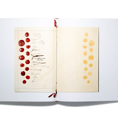 Henry Leutwyler: Humanity