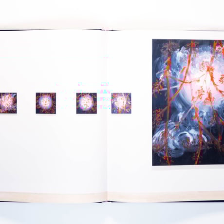 Ann Craven: Twelve Moons