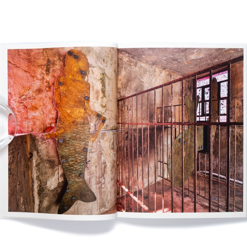 限定アートポスター/The Falls Ⅲ/キキ・スミス/Kiki Smith Kiki Smith