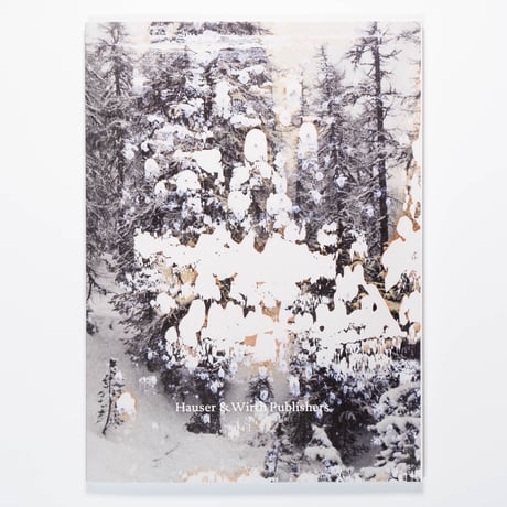 Gerhard Richter: Engadin