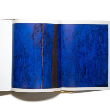 Clyfford Still: The Artist's Museum