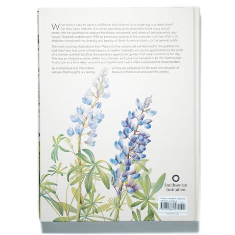 Wild Flowers of North America