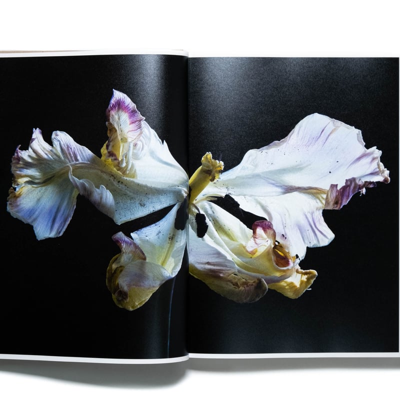 Carla van de Puttelaar: Adornments | Art Book I