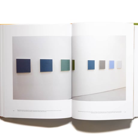 Marcia Hafif: The Inventory: Painting