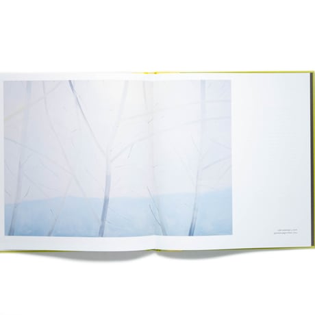 Alex Katz: Quick Light