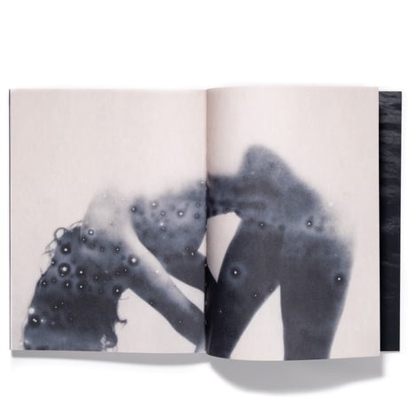 Julie van der Vaart: Blind Spot