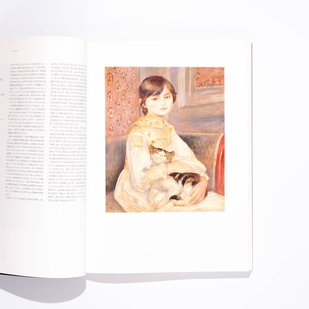 貴重！　オルセー美術館の美術書 貴重！ オルセー美術館の美術書 【公式通販】