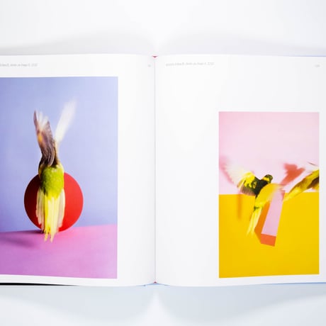 Aviary: The Bird in Contemporary Photography