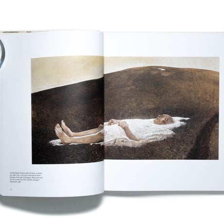 Andrew Wyeth: Life and Death