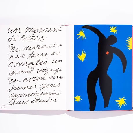 Matisse: The Bigger Picture