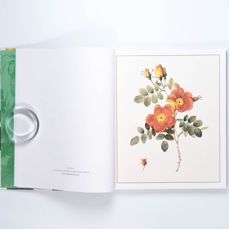 Redouté: Fabulous Flowers | Art Book Iskusstvo