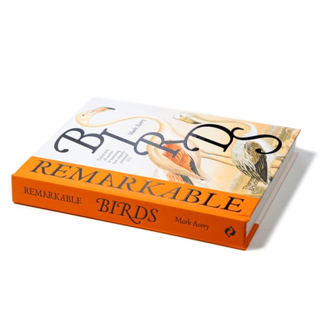 Remarkable Birds