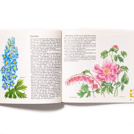 オール・マイ・プランツ：子どものためのガーデニング本