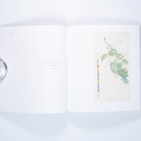 Hilma af Klint: What Stands Behind the Flowers