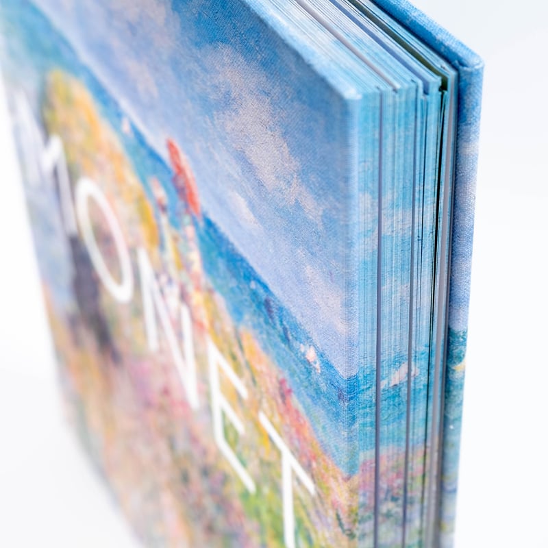 【ほぼ新品】Monet: The Bigger Picture Monet: The Bigger Picture: Sefrioui, Anne: 9783791377827: Amazon