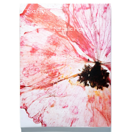 Brigitte Lustenberger: An Apparition of Memory