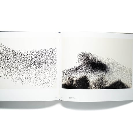 Søren Solkær: Starling