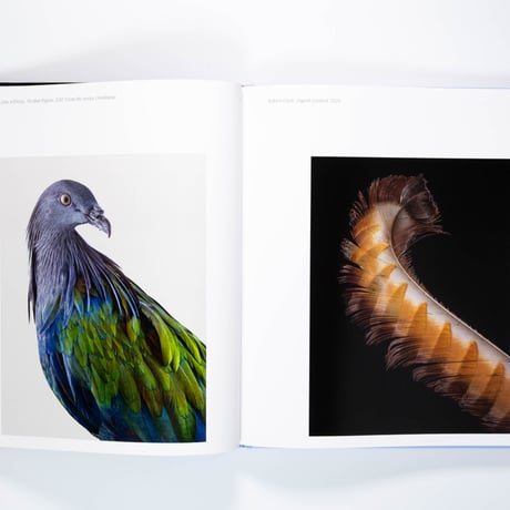 Aviary: The Bird in Contemporary Photography