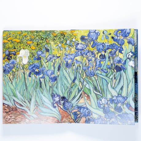 Van Gogh: The Essential Paintings