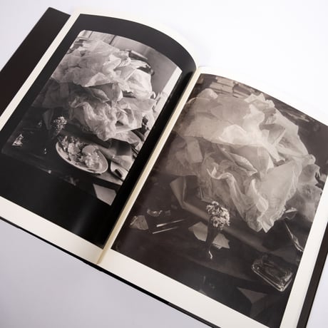 JOSEF SUDEK  -Labyrinty-