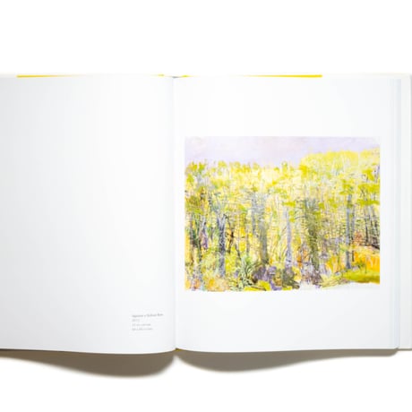 Wolf Kahn: Paintings and Pastels, 2010-2020