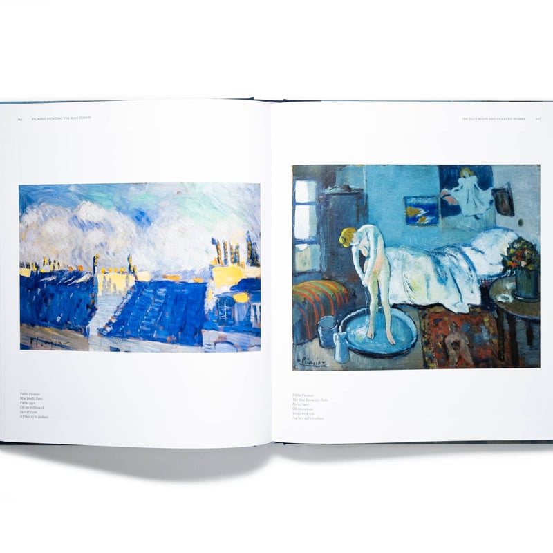 Picasso: Painting the Blue Period | Art Book Is