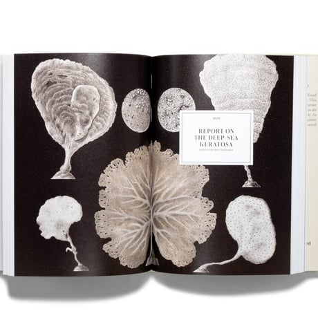 The Art and Science of Ernst Haeckel. 40th Ed.