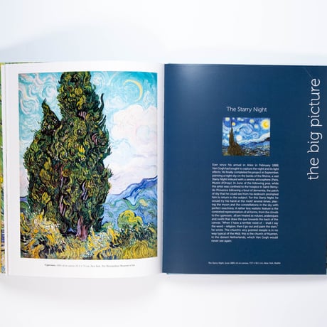 Van Gogh: The Bigger Picture