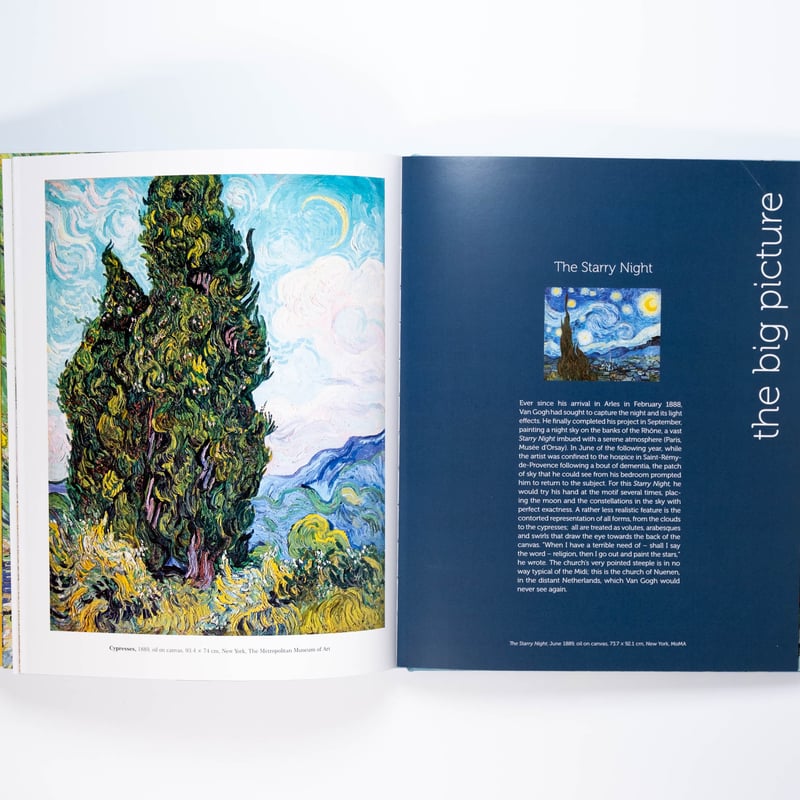 アート・デザイン・音楽 Van Gogh: The Bigger Picture VAN GOGH VAN GOGH - THE BIGGER PICTURE：フィンセント・ファン・ゴッホ | OIL
