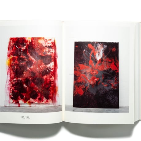Anish Kapoor: Painting