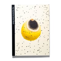 Klaus Pichler — Fear Guards the Lemon Grove
