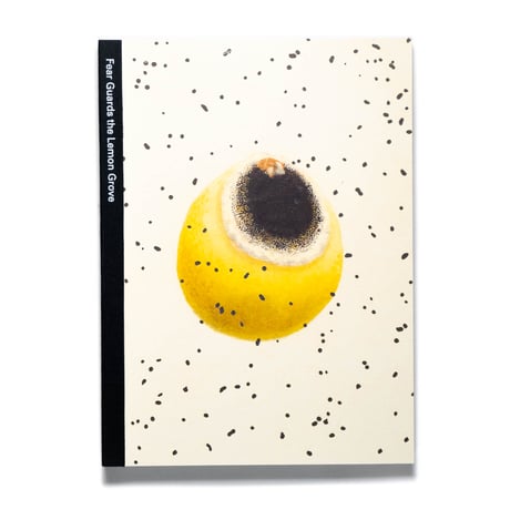 Klaus Pichler — Fear Guards the Lemon Grove
