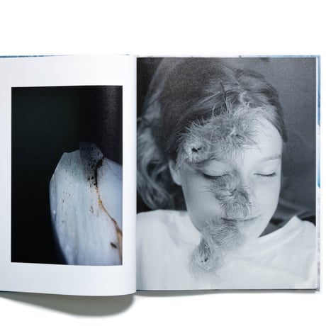 Diewke van den Heuvel: Melting Heart