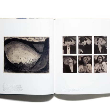 Georgia O'Keeffe: To See Takes Time