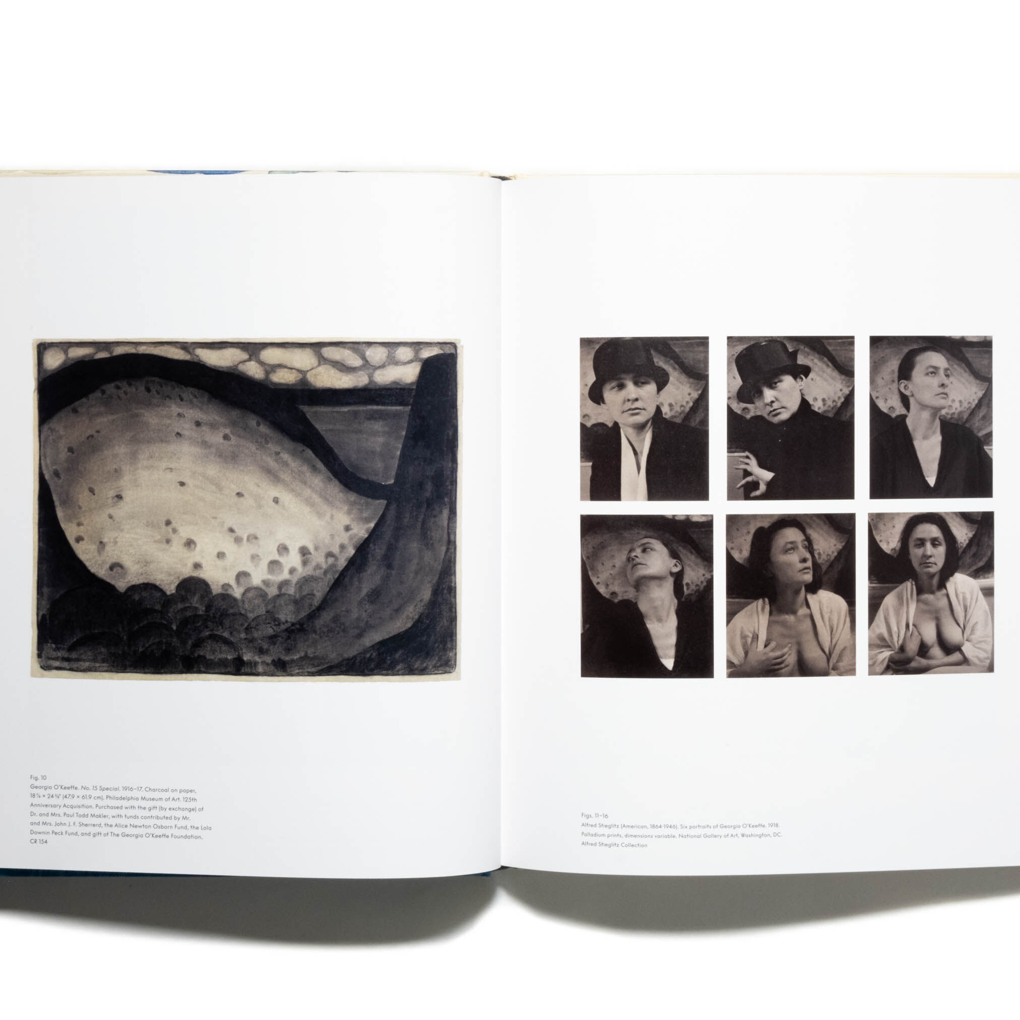 Georgia O'Keeffe: To See Takes Time | Art Book