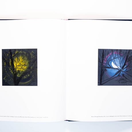 Ann Craven: Twelve Moons