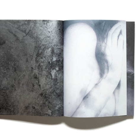 Julie van der Vaart: Blind Spot