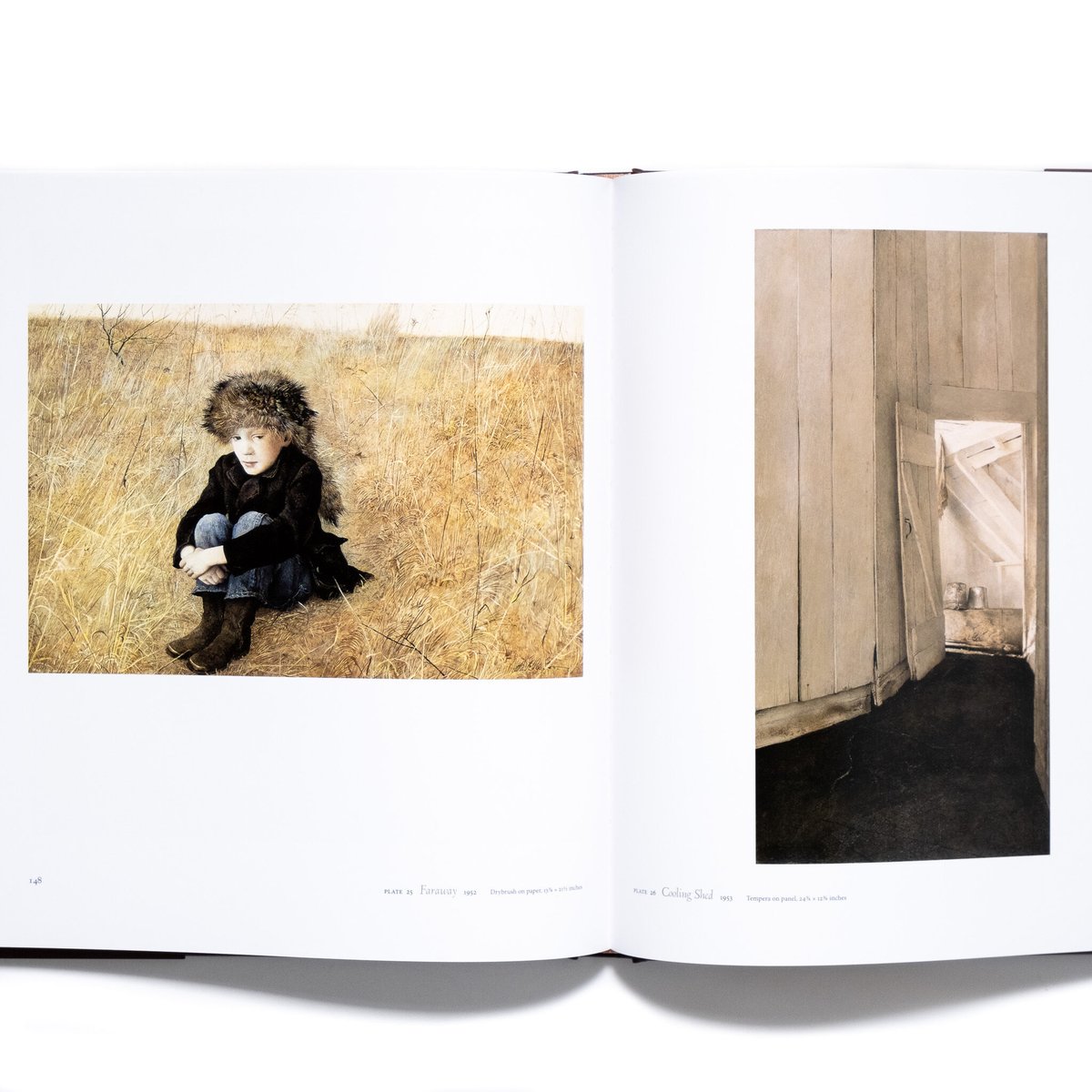 Andrew Wyeth: Memory and Magic | Art Book Iskus