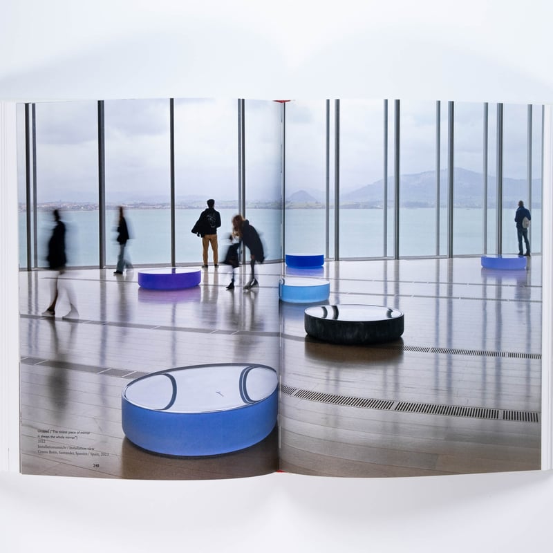 Roni Horn: Give Me Paradox or Give Me Death | A