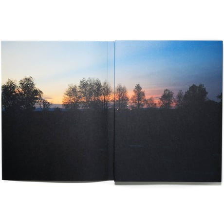 I Don't Recognize Me In The Shadows / Thana Faroq