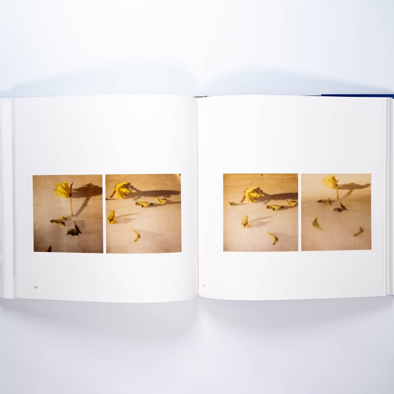 Cy Twombly | Art Book Iskusstvo