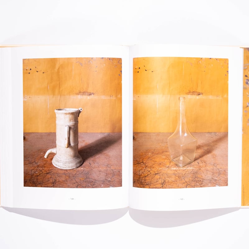 Joel Meyerowitz: Morandi's Objects | Art Book I