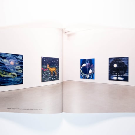 Ann Craven: Night