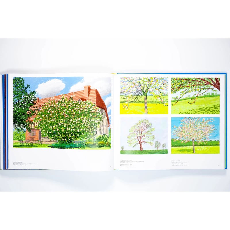 David Hockney | Art Book Iskusstvo