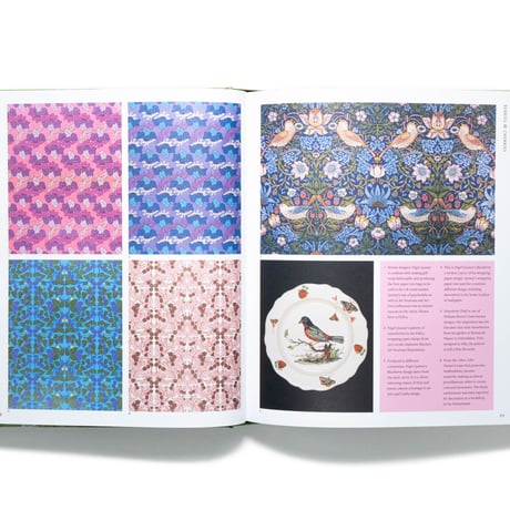 The V&A Sourcebook of Pattern and Ornament