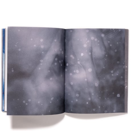 Julie van der Vaart: Blind Spot