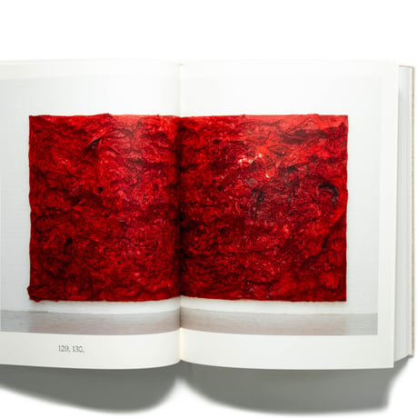 Anish Kapoor: Painting