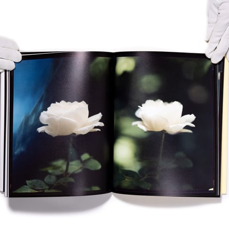 Judith Jockel: You Breathe From A Garden In Your Neck