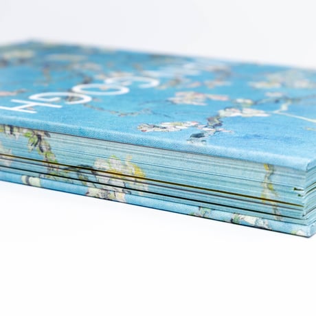 Van Gogh: The Bigger Picture