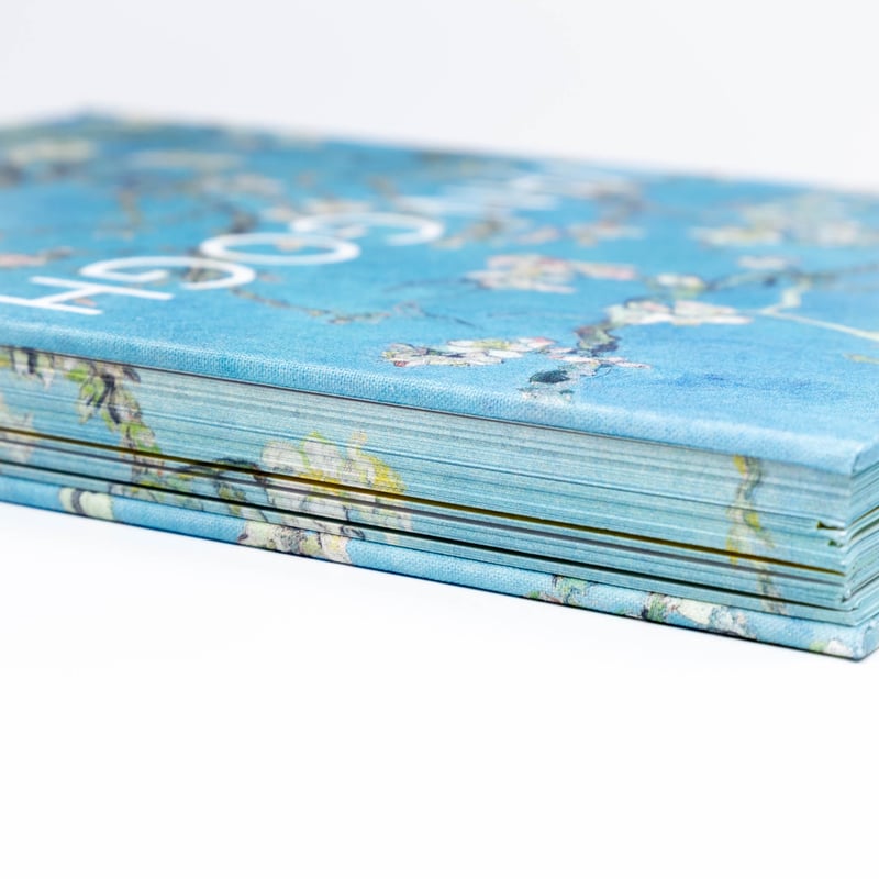 追加販売分】Van Gogh: The Bigger Picture | Art Book